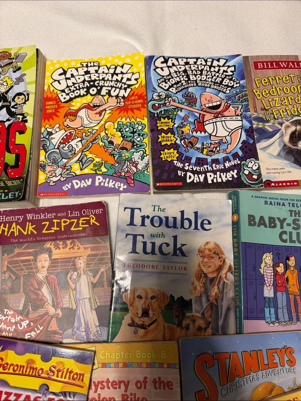 Scholastic early reader book lot. 24 books